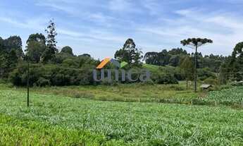 Imagem 3: CHÁCARA EM CAMPO ALEGRE/SC