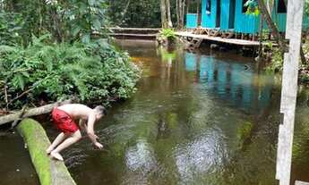 Imagem 4: Vendo um lindo sítio com casa na beira do Igarape!