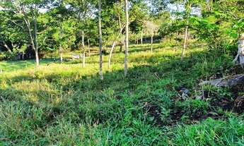 Imagem 4: Terra escriturada com Benfetorias e piscina