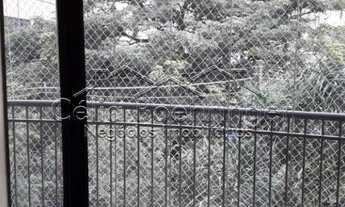 Imagem 3: SãO PAULO - Padrão - Perdizes