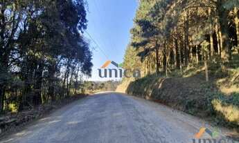 Imagem 4: Terreno - Campo Alegre/SC