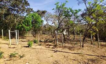 Imagem 2: Vem ser Feliz em Mateus Leme III