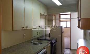 Imagem 3: Cobertura em Moema