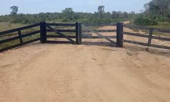 Imagem 5: Excelente Fazenda Município Porto Alegre do Norte MT