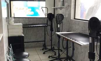 Imagem 6: Petshop / banho e tosa na Mooca pronto para trabalhar!