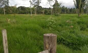 Imagem 4: SÍTIO DE 42 ALQUEIRES THEOBROMA