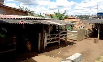 Imagem 3: Casa com área de 440m² em Mateus Leme - MG