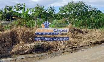 Imagem: BALNEÁRIO PIÇARRAS - Terreno Padrão
