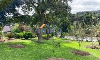 Imagem 3: Chácara, Fazenda, Sítio, Terreno, Casa, Apartamento, Campo Alegre