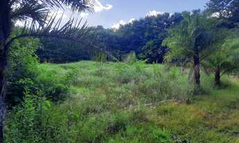 Imagem 4: VENDER OU TROCA CHÁCARA NO ARAPONGAS