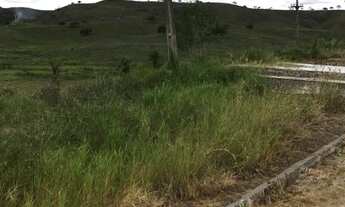 Imagem 4: Fazena na Beira da Pista com 225 Hectares