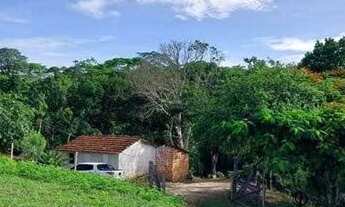 Imagem 2: CHÁCARA NA ESTRADA PARA VALADARES