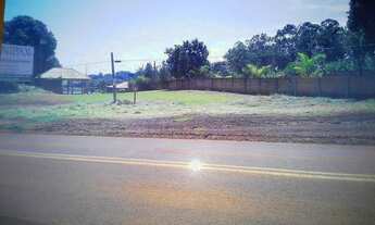 Imagem 3: Chácara / sítio à venda na Entrada da cidade de Primeiro de Maio