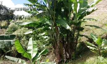 Imagem 7: Vende-se Terreno com Casa no Sul de MG