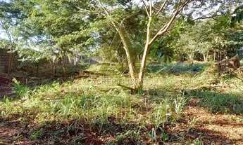 Imagem 6: Terreno - Ribeirão Preto - Ribeirânia