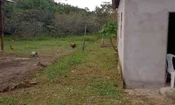 Imagem 5: Casa no interior município de Magalhães barata