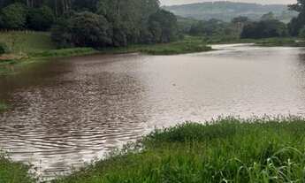 Imagem 4: Fazenda/Sítio/Chácara para venda possui 193600 metros quadrados com 3 quartos
