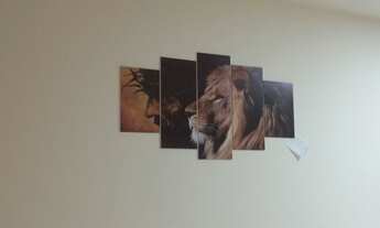 Imagem 3: Alugo casa Beltrão Park