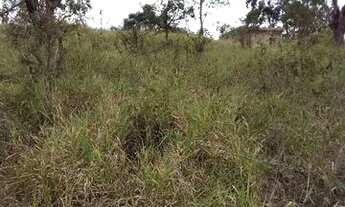 Imagem 3: Terreno 10×27 com escritura Jd alegria Francisco morato