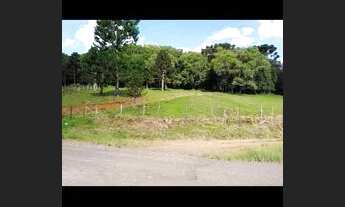 Imagem 2: Vendo chácara 3 Alqueires em caçador com escritura tudo certinho