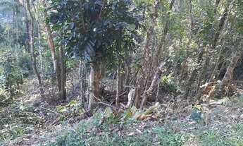 Imagem 5: Terreno Rural Santo Amaro da Imperatriz