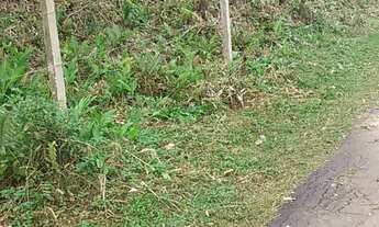 Imagem 4: Terreno km4 antonina pr