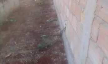 Imagem: Lote em Matheus leme