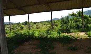 Imagem 3: Fazenda em Rosário Oeste