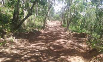 Imagem 4: Terreno com poço artesiano- Santa Isabel - SP