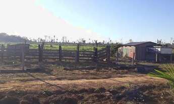 Imagem 3: VENDE-SE sítio de 84 alqueires em HUMAITÁ-AMAZONAS