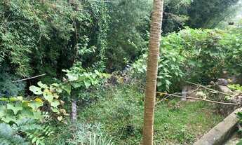 Imagem 7: SAO ROQUE - Casa Padrão - PARQUE 9 DE JULHO