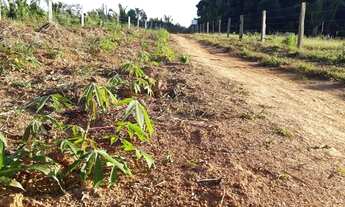 Imagem 7: VENDE-SE sítio de 84 alqueires em HUMAITÁ-AMAZONAS