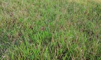 Imagem 2: Lotes Terreno / lote com venda por R$30.000