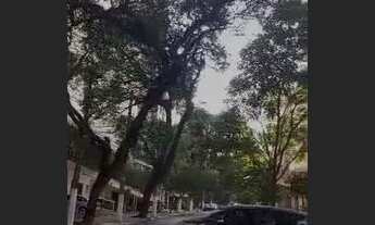 Imagem 3: Apartamento zona sul de São Paulo