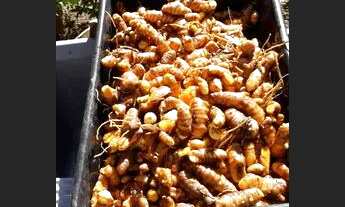 Imagem 6: Sítio em ibiuna