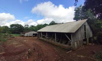 Imagem 7: Vendo Chácara em laj. Pilão - Alecrim -RS
