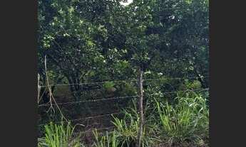 Imagem 3: R$120.000 Chácara com venda por R$120.000