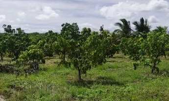 Imagem: TERRENO PARA CHÁCARA