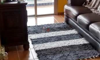 Imagem 2: Ubatuba - Apartamento Padrão - Itaguá