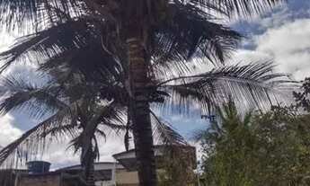 Imagem 2: Terreno em Jerônimo Monteiro ES 40 mil