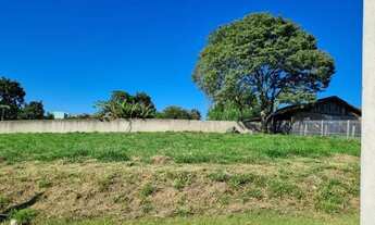 Imagem 5: NOVO HAMBURGO - Terreno Padrão - Lomba Grande