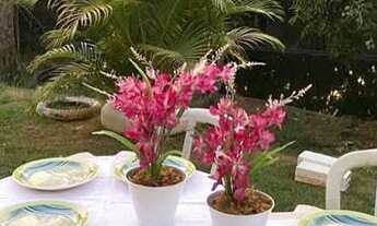 Imagem 3: Linda Chácara com muita área verde para pequenos eventos