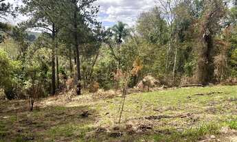 Imagem 5: Terrenos Marmelo