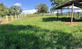 Imagem 6: Chácara 36 litros em Inhumas