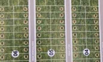 Imagem 2: Petit Trianon Ágio 45 mil (300m²