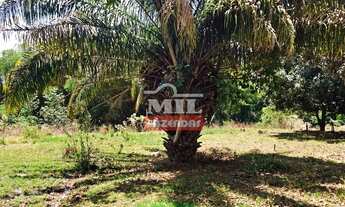 Imagem 6: Fazenda 13 alqueires (62 hectares) Anápolis - GO