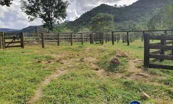 Imagem 7: Fazenda à Venda em Cocalzinho - Goiás - 54 Alqueires