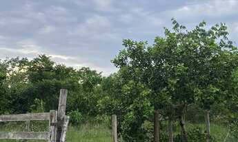 Imagem 3: Fazenda Em Couto Nagalhães