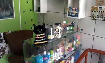 Imagem 6: Passo Pet Shop Galpão / depósito com venda por R$32.000