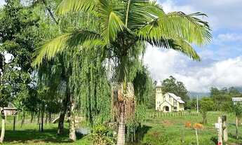 Imagem 2: Sítio / Chácara para Venda em Nova Petrópolis, Linha Temerária, 4 dormitórios, 2 banheiros